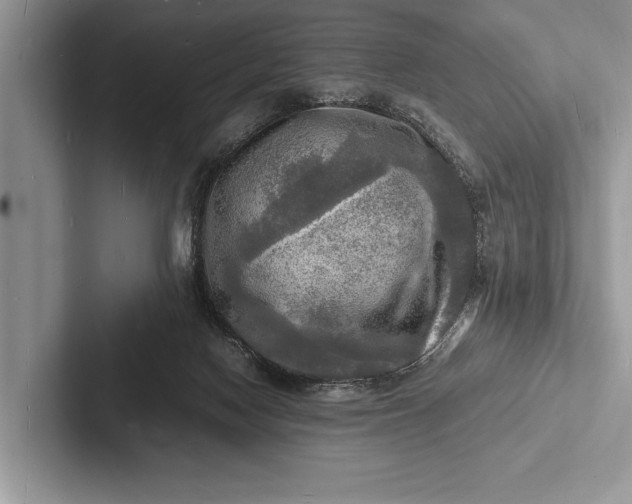 X0000103250074200809111624