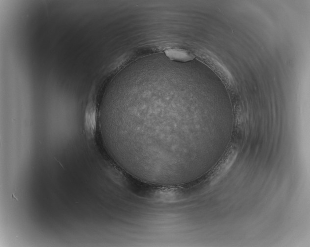 X0000103250076200809111624