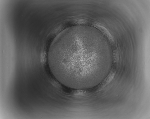 X0000103250077200809111624