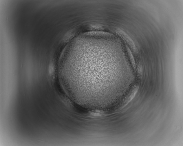 X0000103250079200809111624