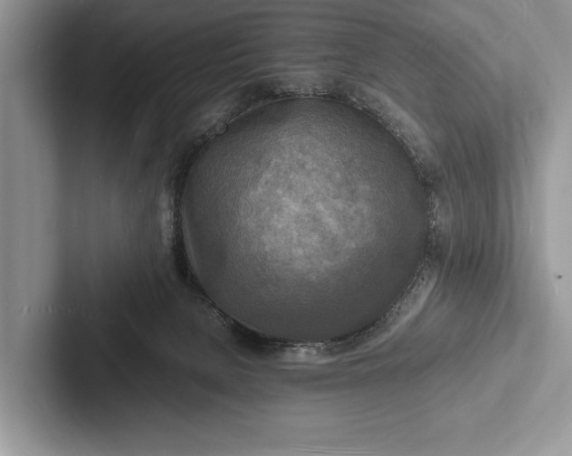X0000103250080200809111624