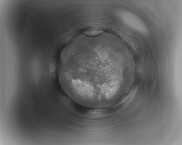 X0000103250082200809111624