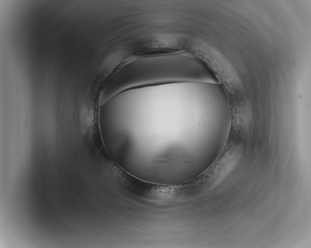 X0000103250084200809111624