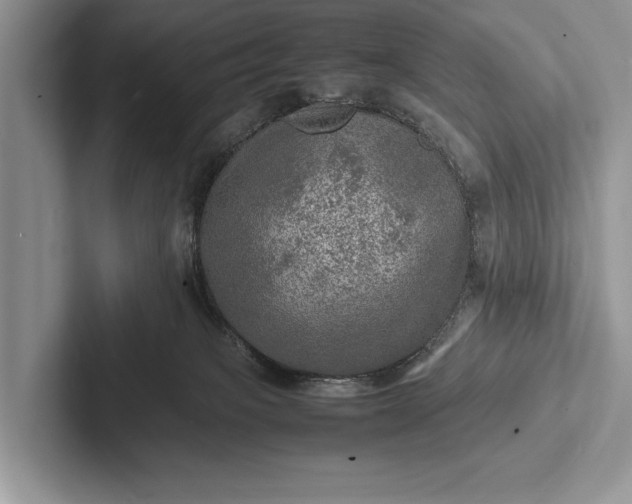 X0000103250085200809111624