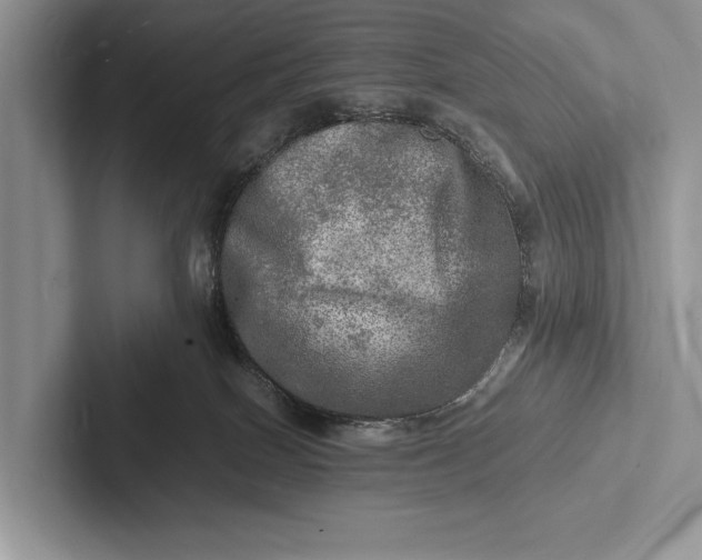 X0000103250086200809111624