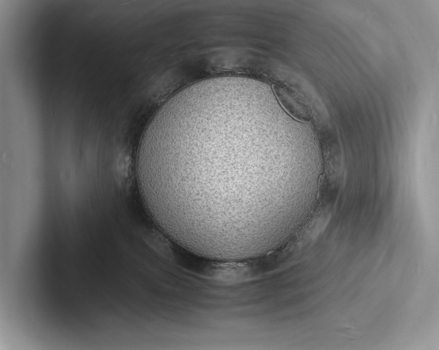 X0000103250087200809111624