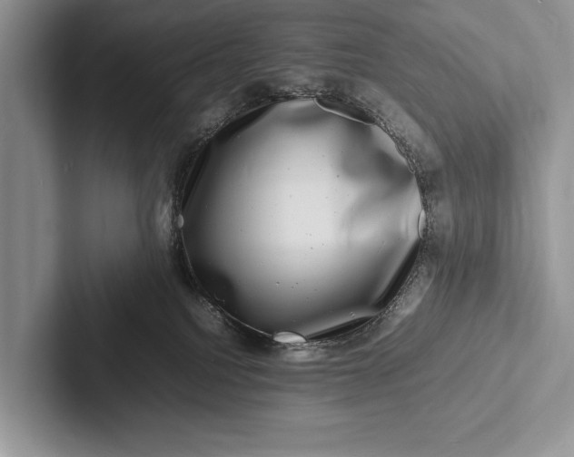 X0000103250088200809111624