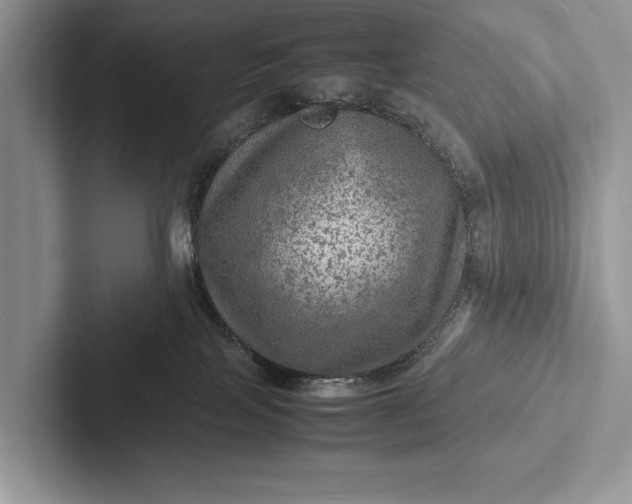 X0000103250089200809111624