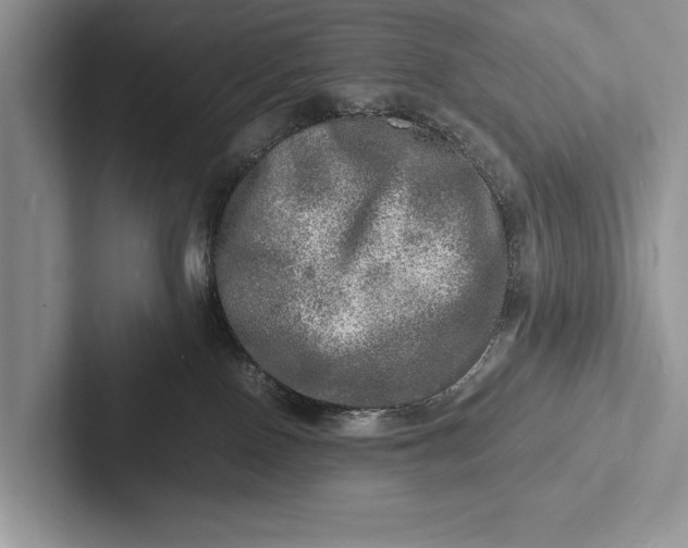 X0000103250090200809111624