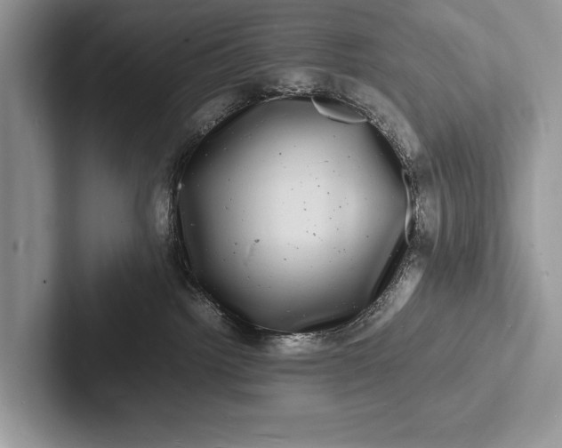 X0000103250092200809111624