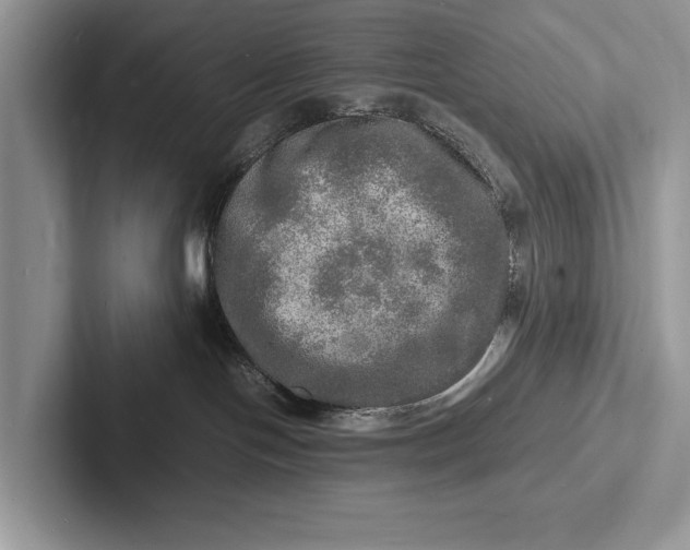X0000103250094200809111624