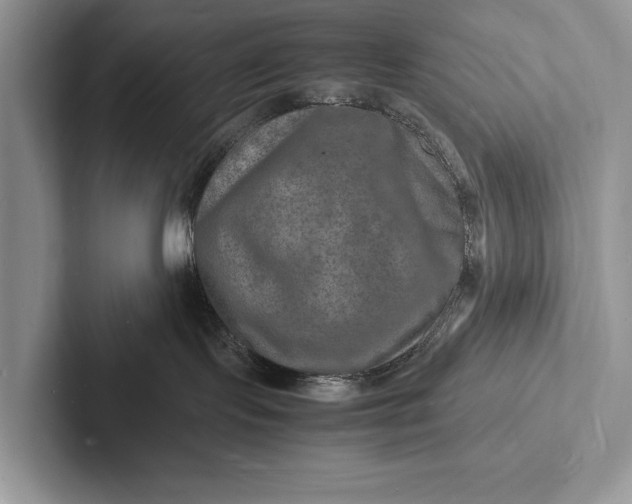 X0000103250095200809111624