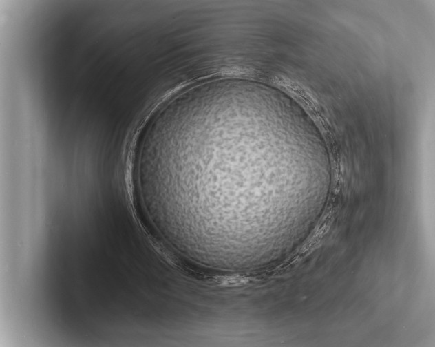 X0000103250098200809111623