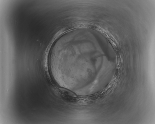 X0000103250099200809111623