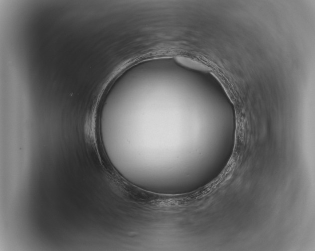 X0000103250100200809111623