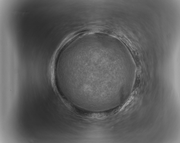X0000103250101200809111623