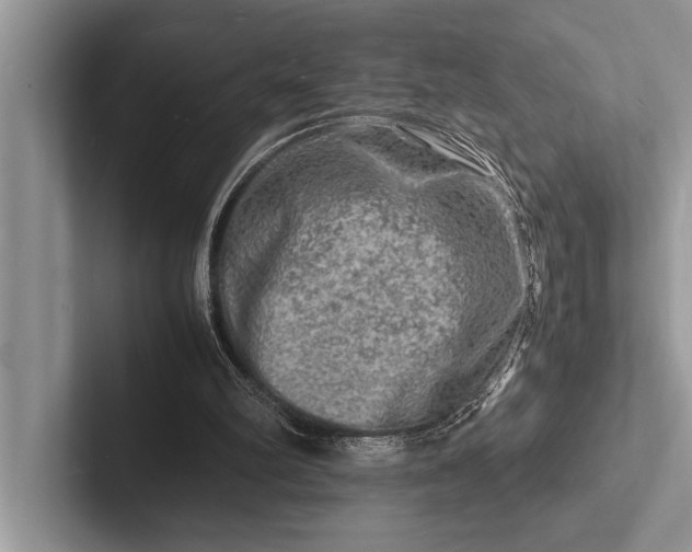 X0000103250102200809111623