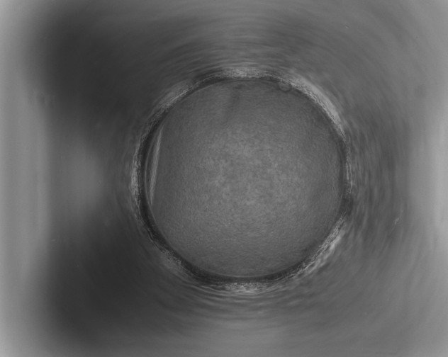 X0000103250105200809111623