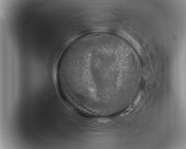 X0000103250107200809111623