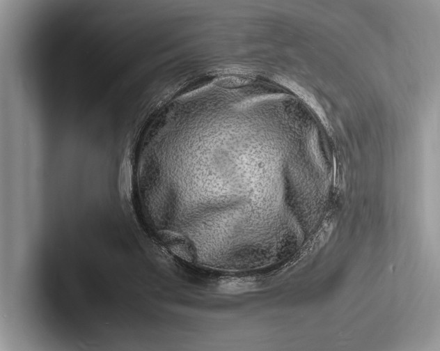 X0000103250109200809111623