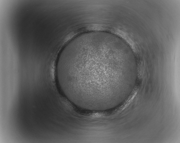 X0000103250111200809111623