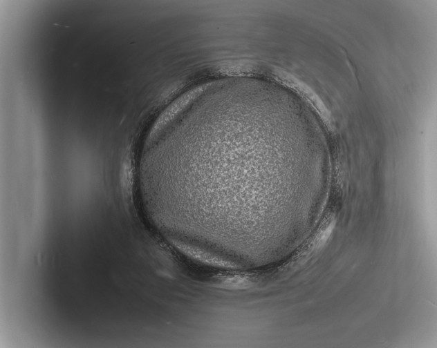 X0000103250113200809111623