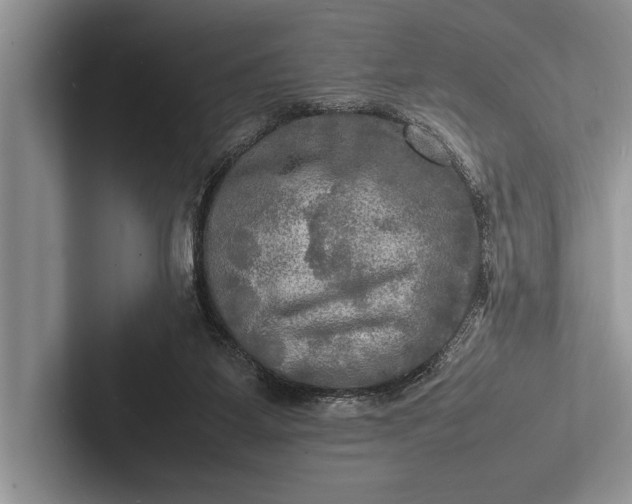 X0000103250115200809111623