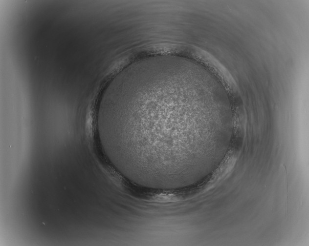 X0000103250119200809111623
