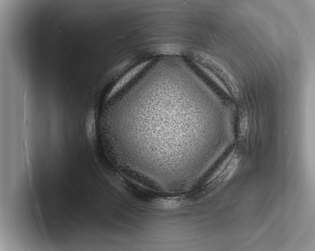 X0000103250120200809111623