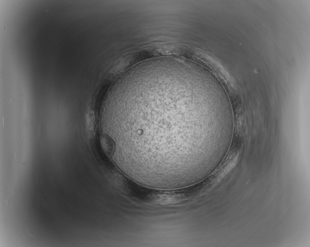 X0000103250121200809111623