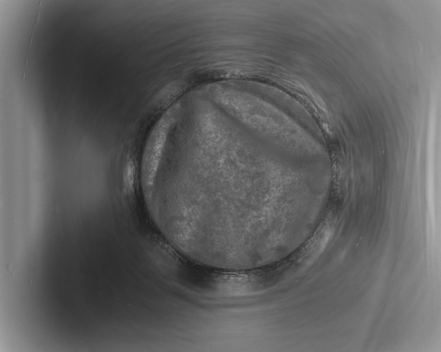 X0000103250123200809111623