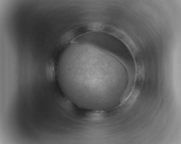 X0000103250128200809111623
