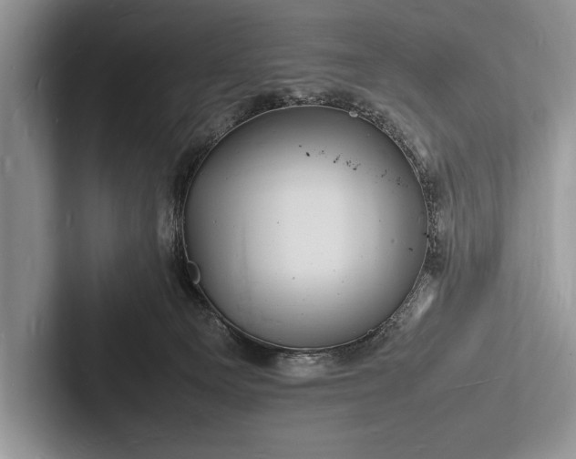 X0000103250129200809111623