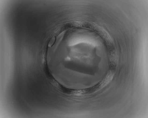 X0000103250131200809111623