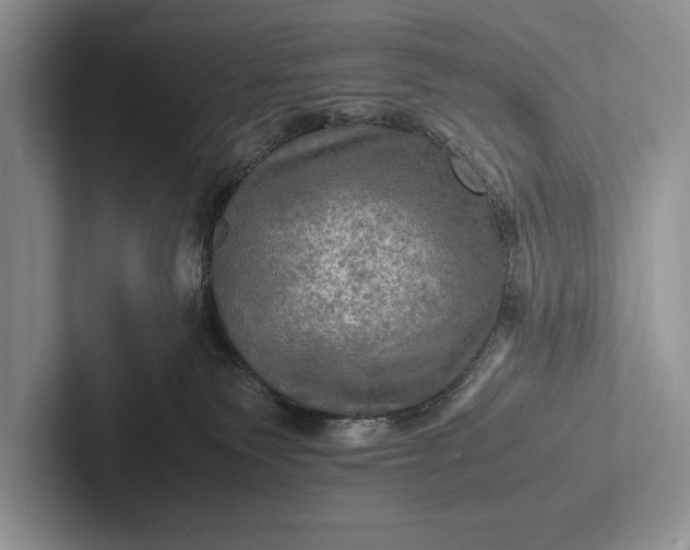 X0000103250135200809111623