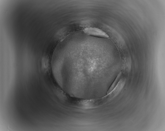 X0000103250136200809111623