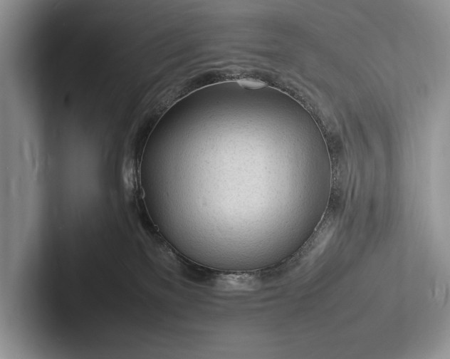 X0000103250137200809111623