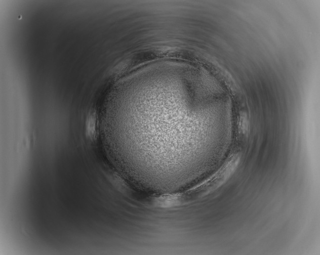 X0000103250138200809111623