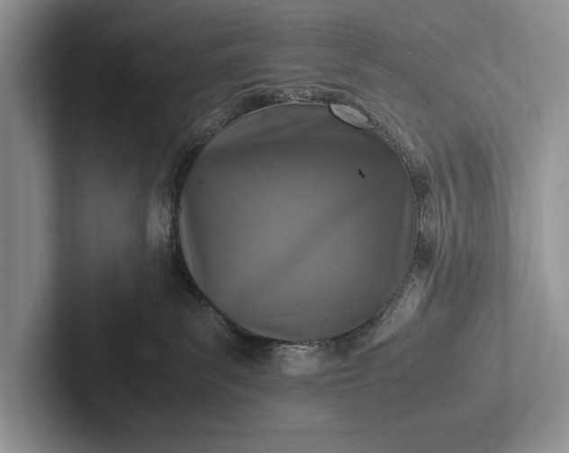 X0000103250139200809111623