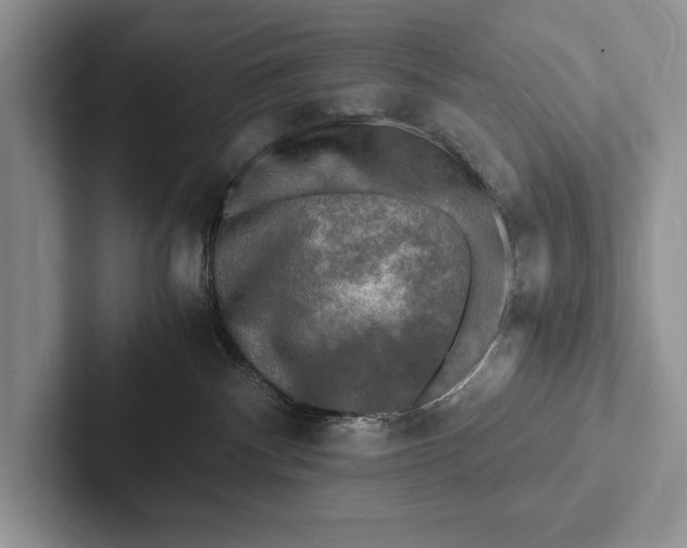X0000103250140200809111623