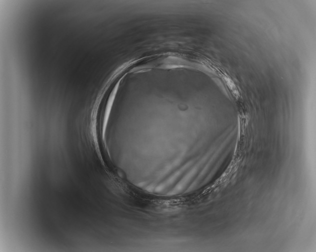 X0000103250147200809111622