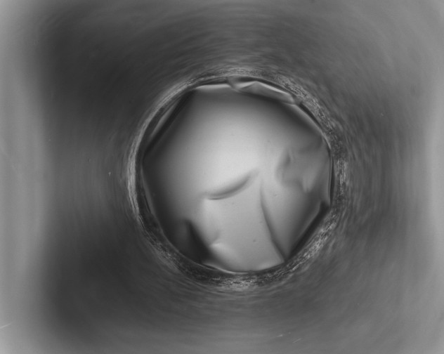 X0000103250148200809111622