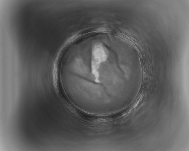 X0000103250149200809111622