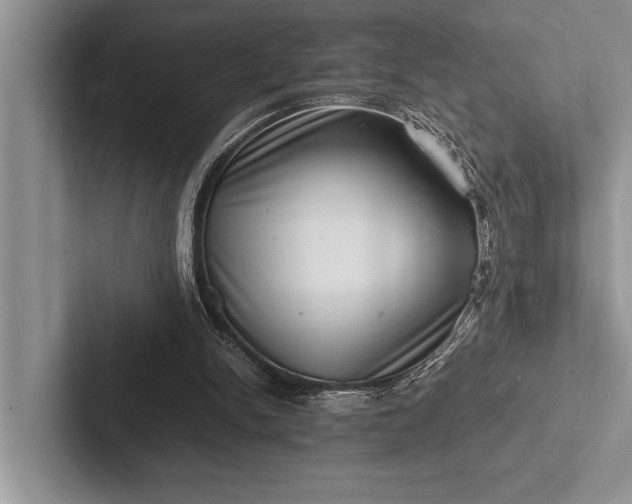 X0000103250150200809111622