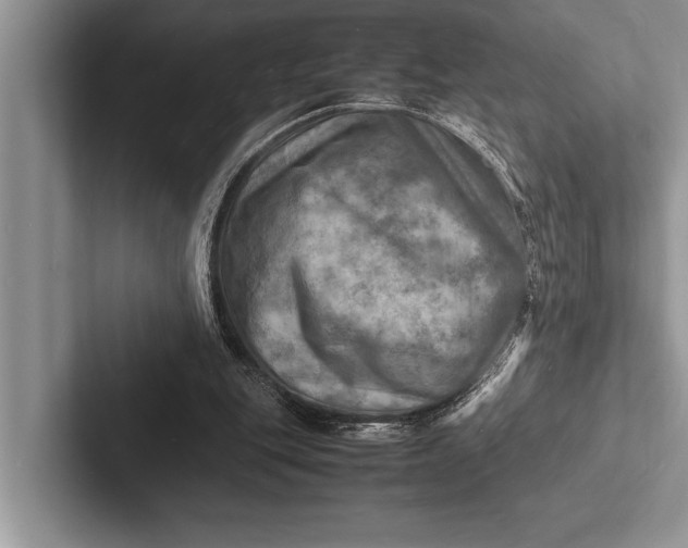 X0000103250151200809111622