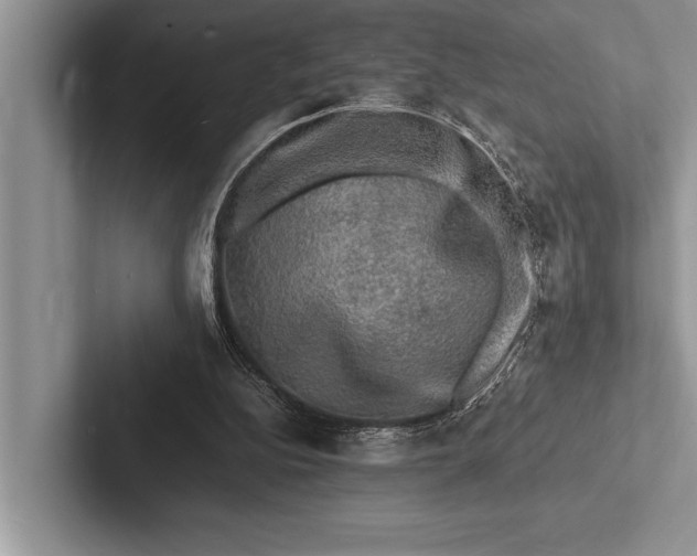 X0000103250152200809111622
