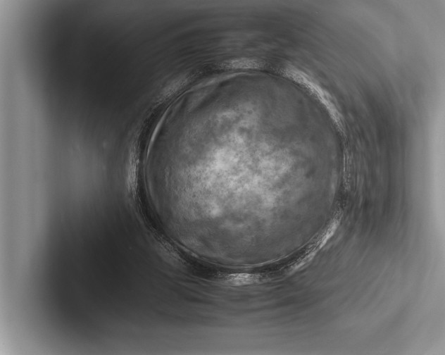 X0000103250153200809111622