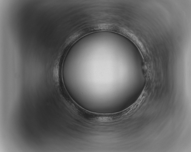 X0000103250154200809111622