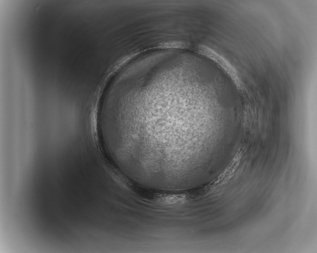 X0000103250155200809111622