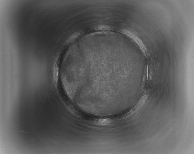 X0000103250157200809111622